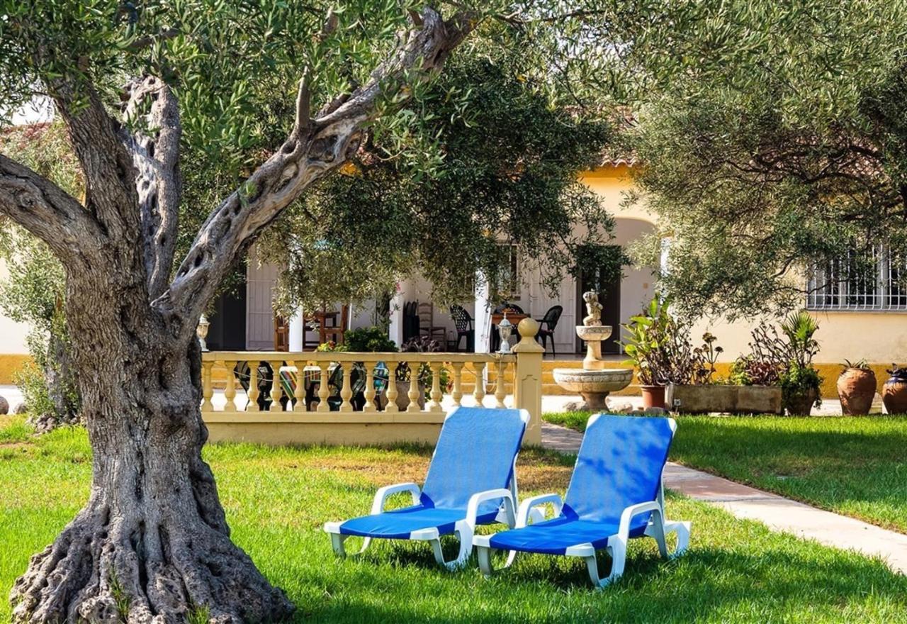 Villa With Great Pool Dog Friendly Vinarós Ngoại thất bức ảnh